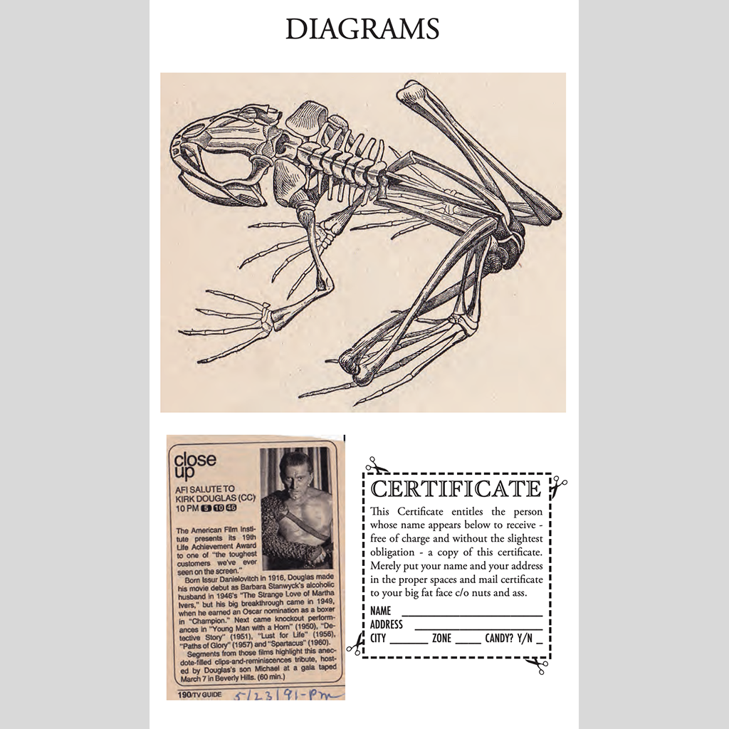 Zine: How to Operate Your Frog (Second Printing)