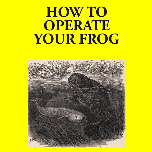 Zine: How to Operate Your Frog (Second Printing)